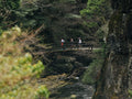 Behind Our Japan Trail Running Pilgrimage